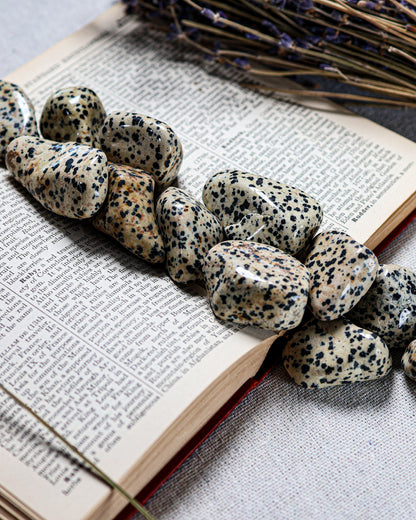 Dalmatian Jasper Tumbled Gemstone