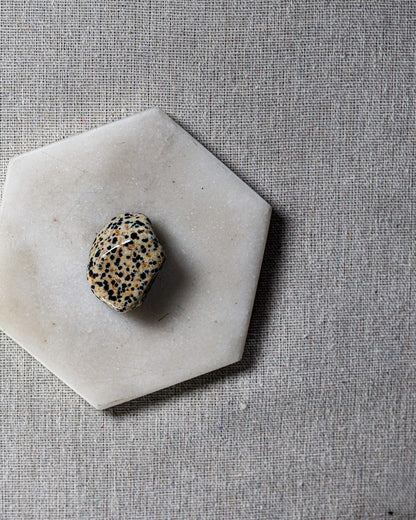 Dalmatian Jasper Tumbled Gemstone