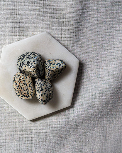 Dalmatian Jasper Tumbled Gemstone