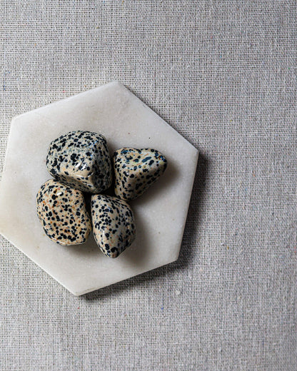 Dalmatian Jasper Tumbled Gemstone