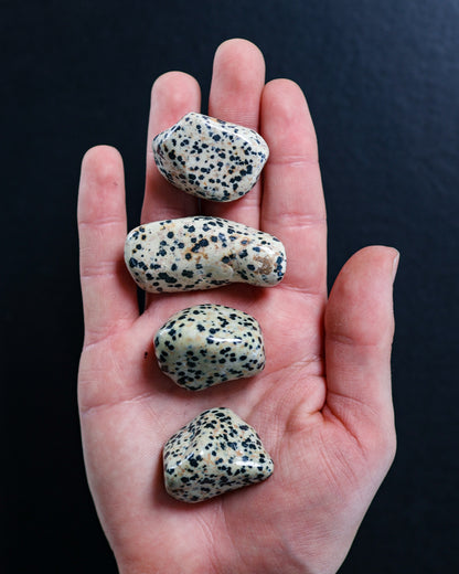 Dalmatian Jasper Tumbled Gemstone