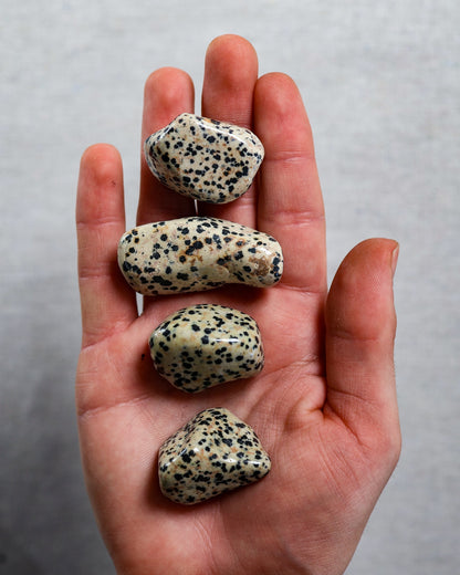 Dalmatian Jasper Tumbled Gemstone