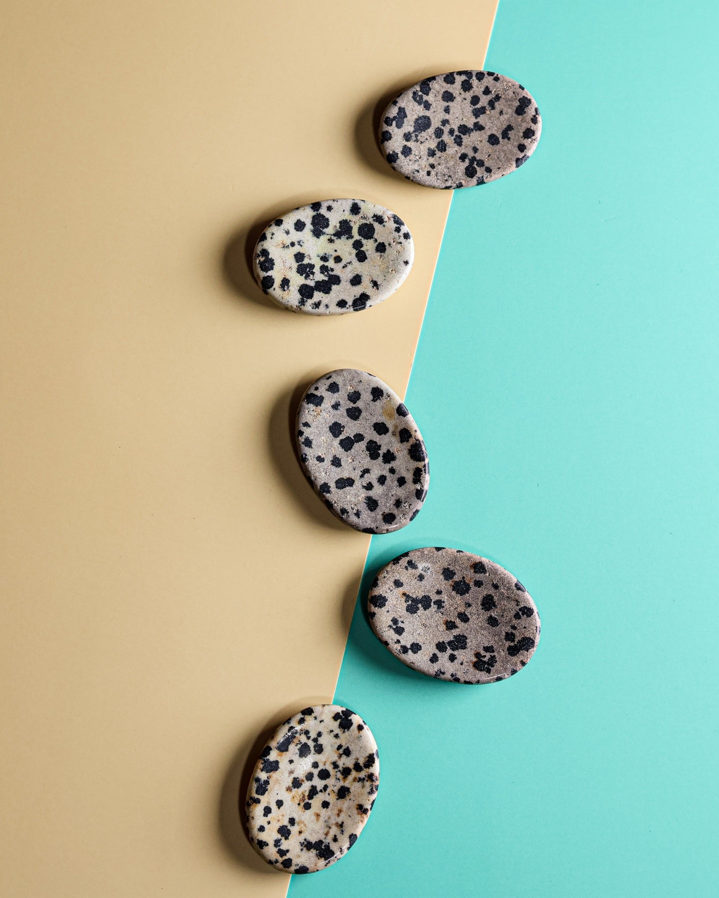 Dalmatian Stone Worry Stone