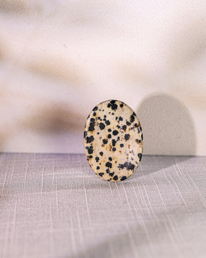 Dalmatian Stone Worry Stone – Sage Spirits