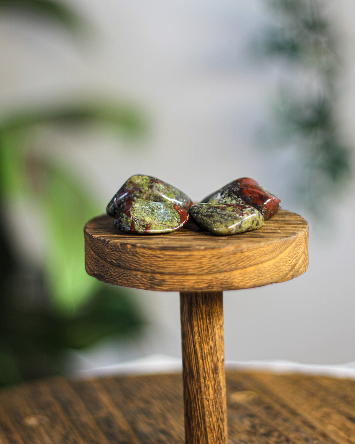 Dragon Blood Jasper Tumbled Gemstone – Sage Spirits