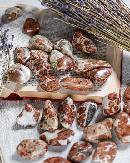 Garnet in Limestone Tumbled Gemstone – Sage Spirits