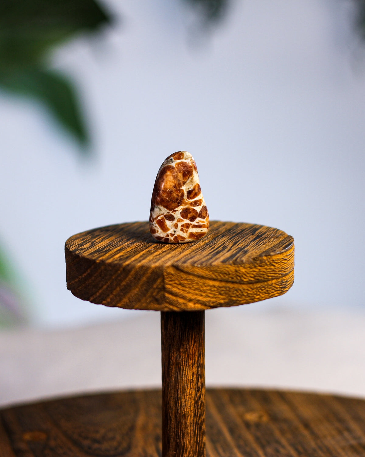 Garnet in Limestone Tumbled Gemstone – Sage Spirits