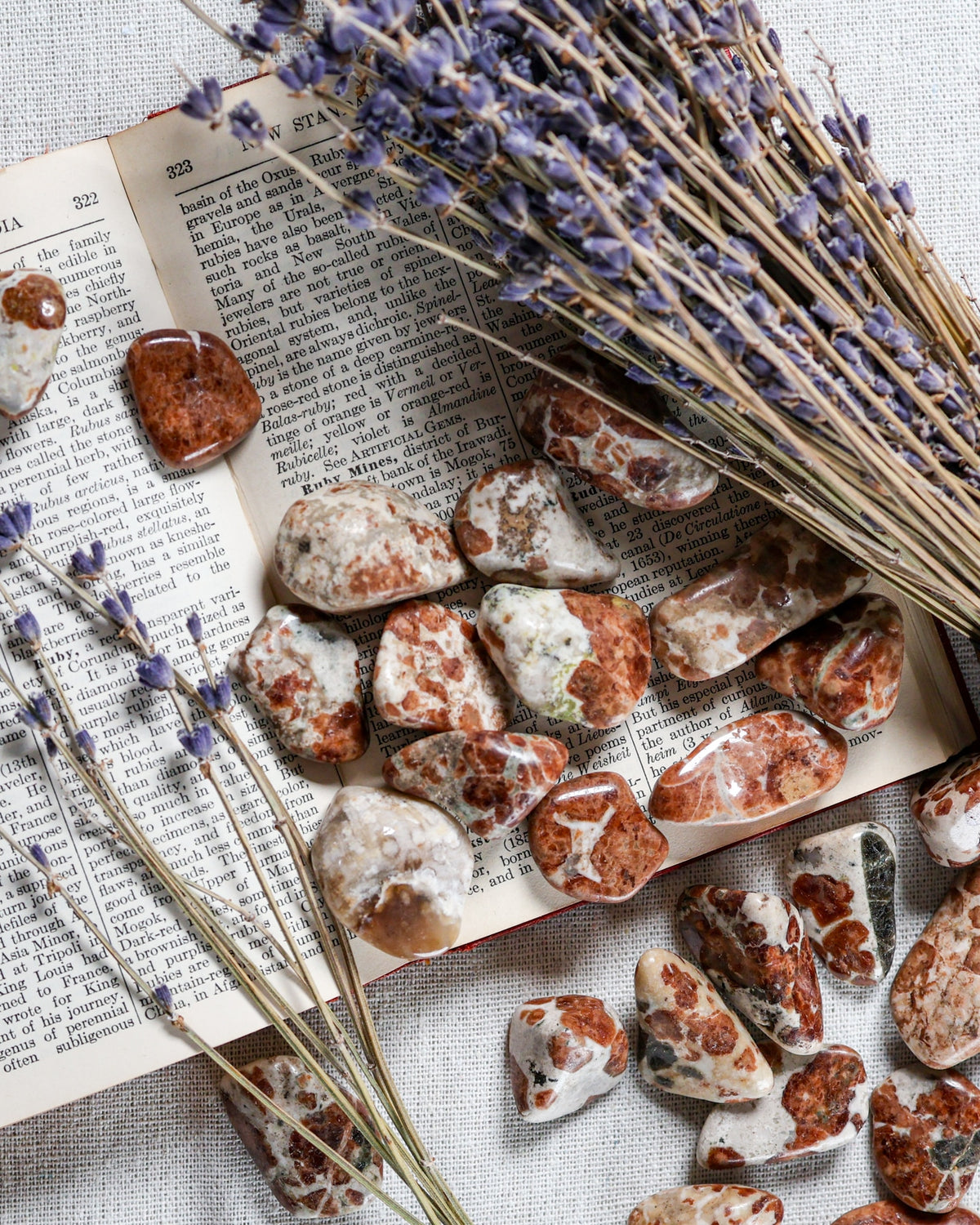 Garnet in Limestone Tumbled Gemstone – Sage Spirits