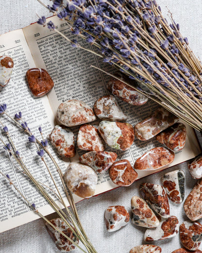 Garnet in Limestone Tumbled Gemstone – Sage Spirits