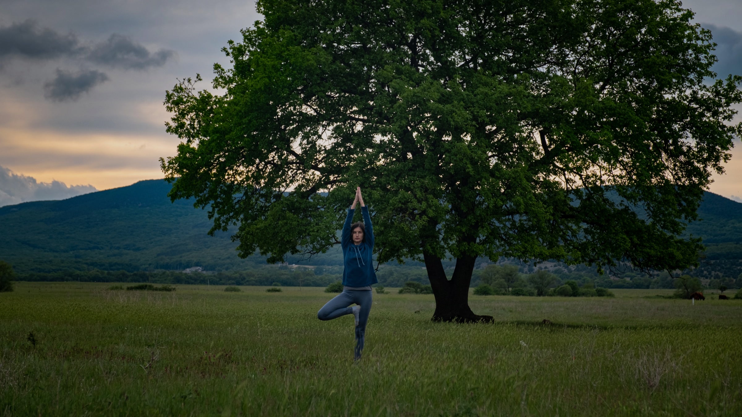 Person practicing yoga under a large tree in a field with mountains in the background