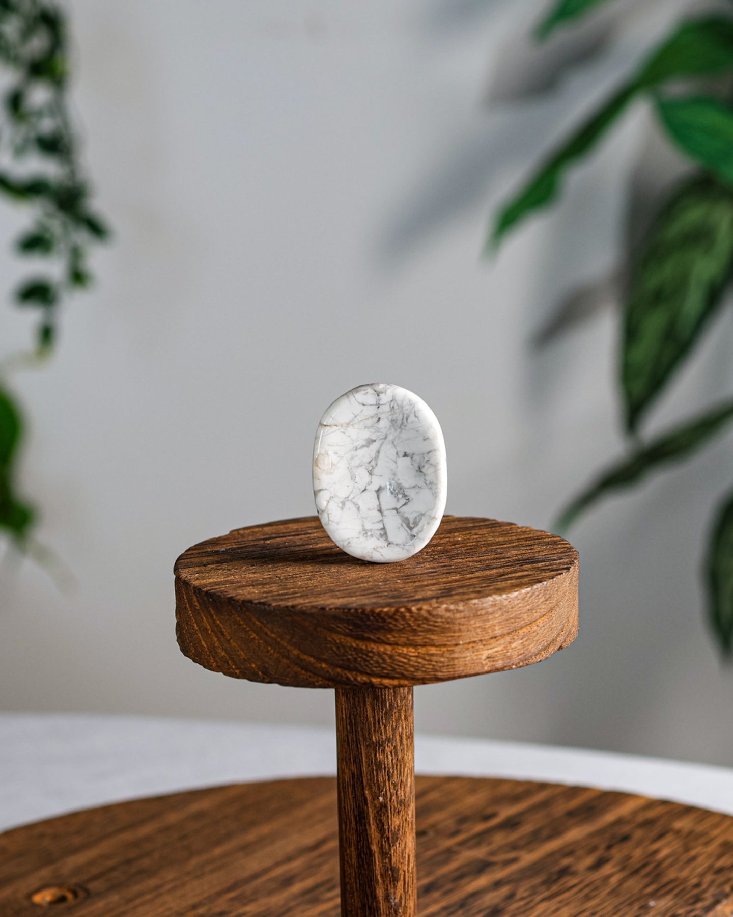 Howlite Worry Stone