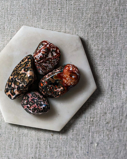 Jasper (Leopard Skin) Tumbled Gemstone