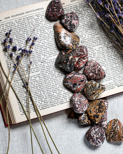 Jasper (Leopard Skin) Tumbled Gemstone