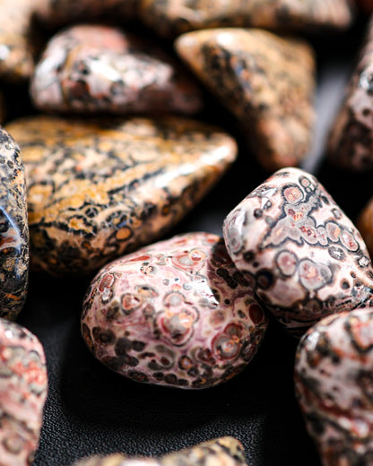 Jasper (Leopard Skin) Tumbled Gemstone