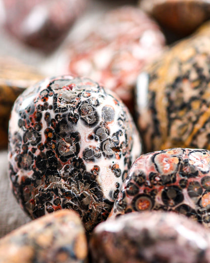 Jasper (Leopard Skin) Tumbled Gemstone