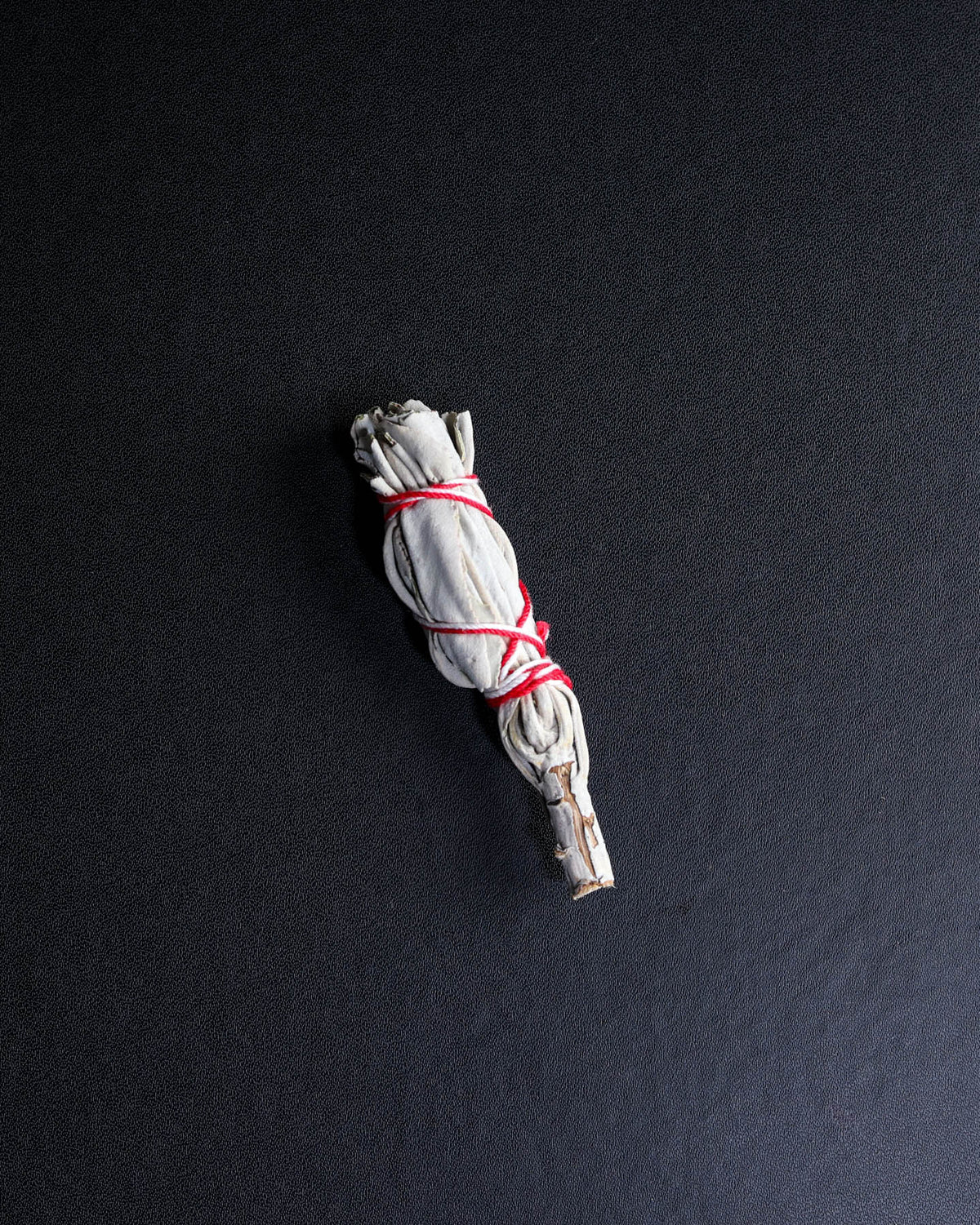 California White Sage Mini Torch – Sage Spirits
