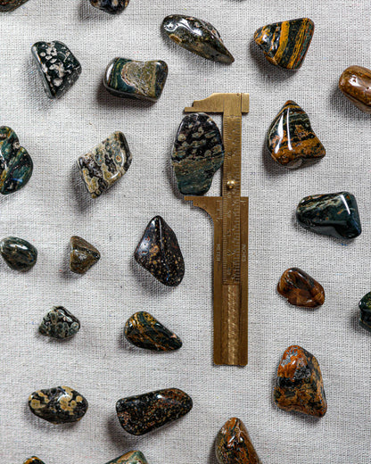 Ocean Jasper (Sea) Tumbled Gemstone
