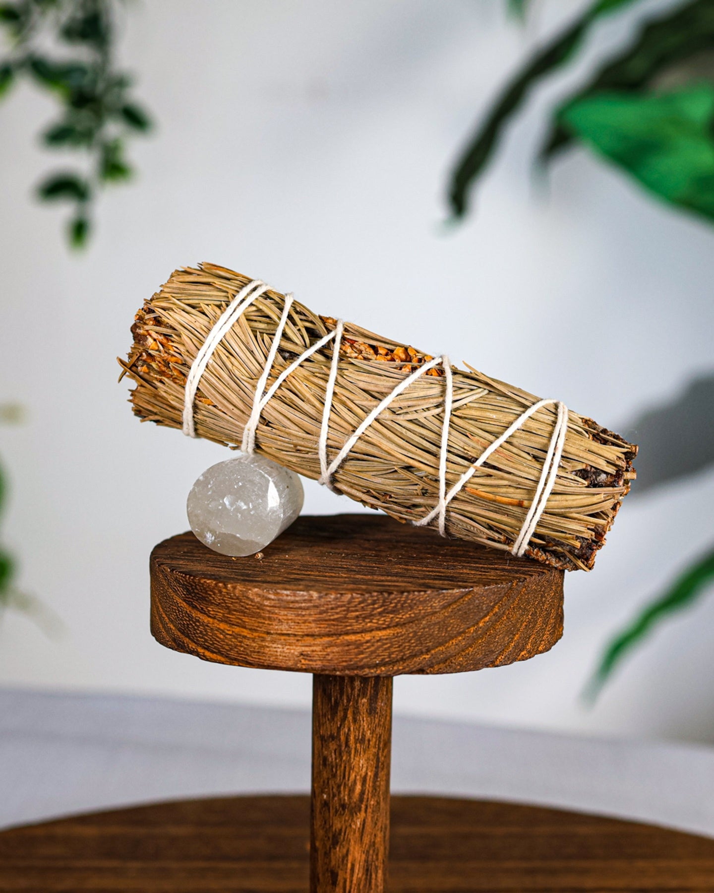 Pine Bundle