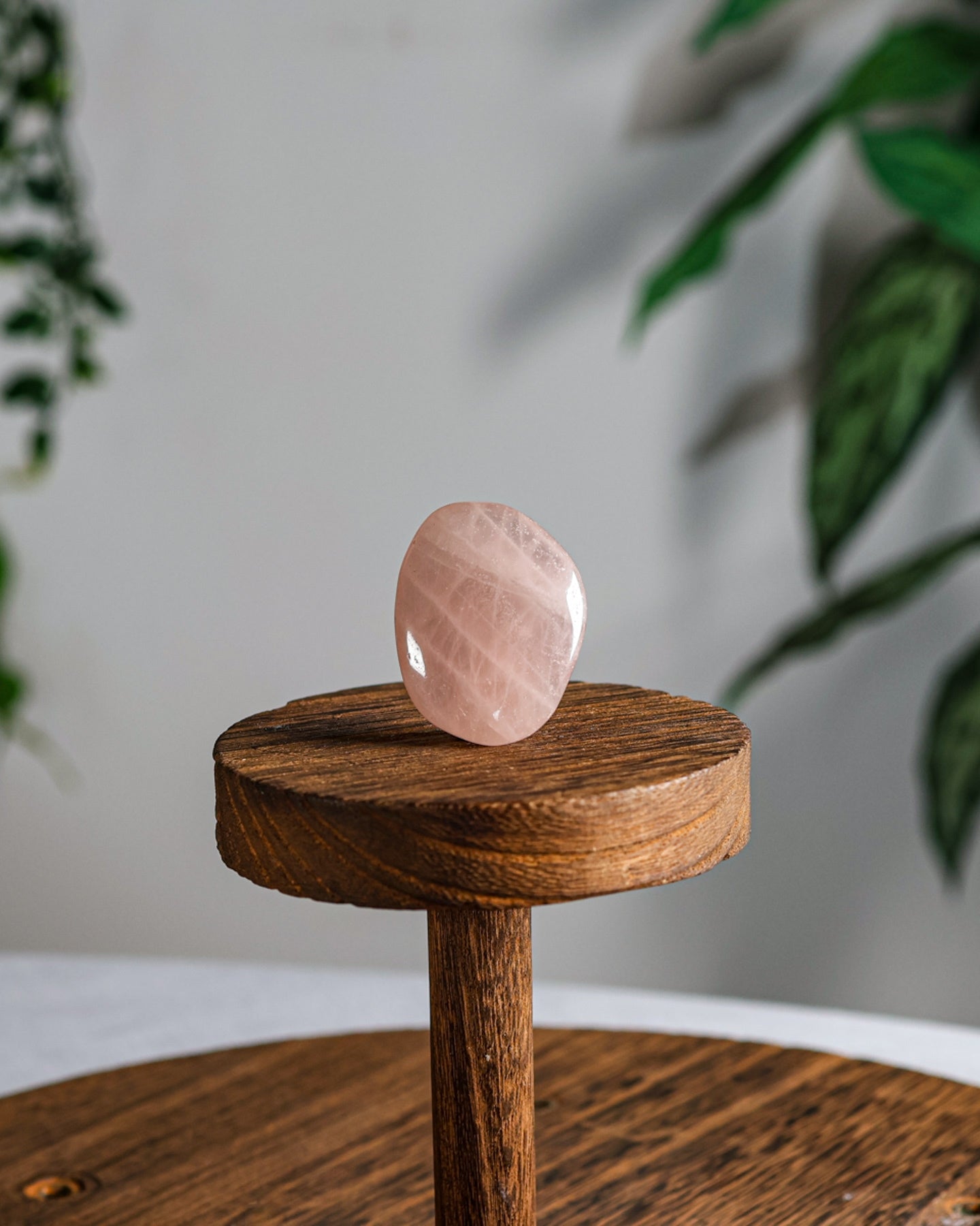 Rose Quartz Palm Stone