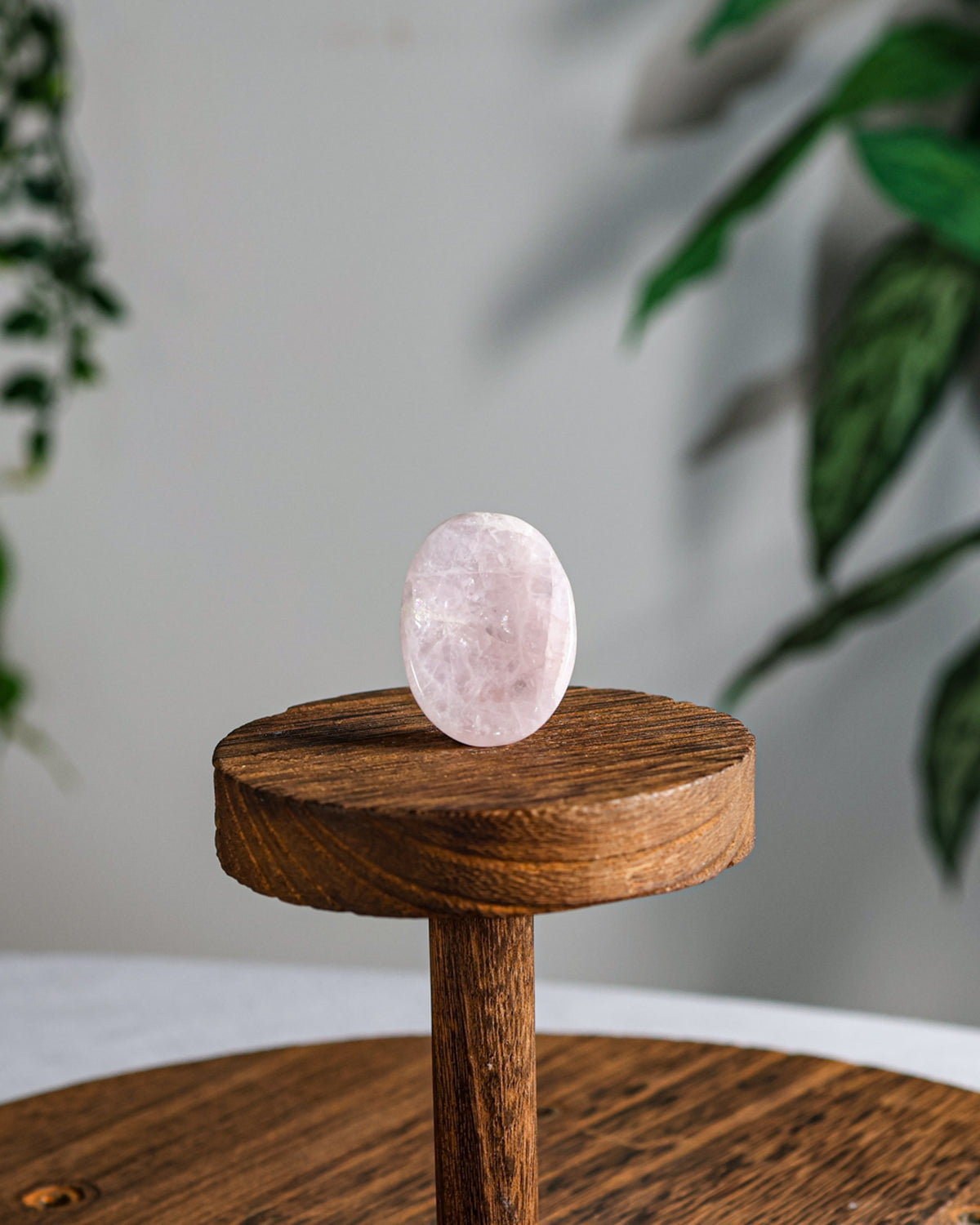 Rose Quartz Worry Stone – Sage Spirits