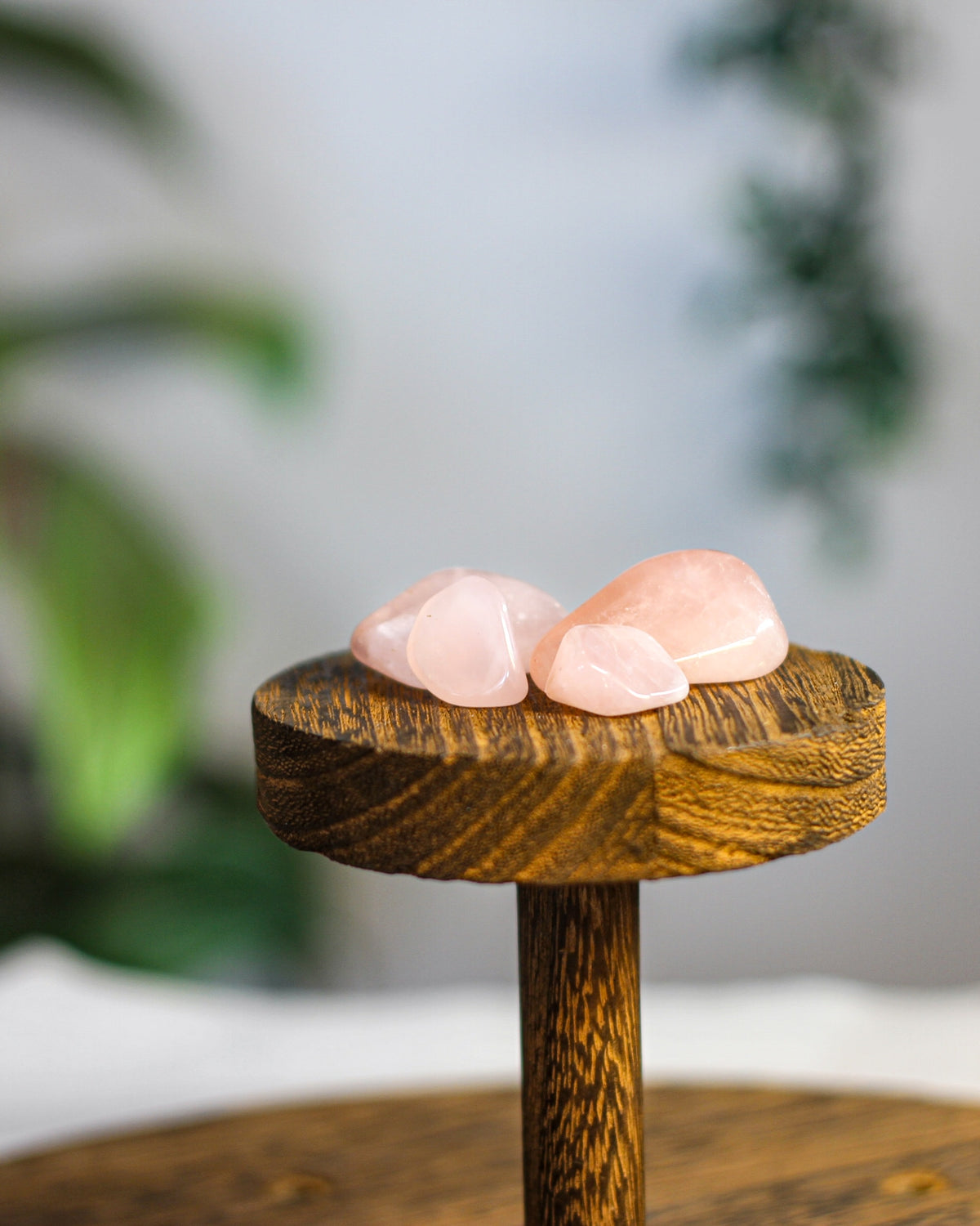 Rose Quartz Tumbled Gemstone