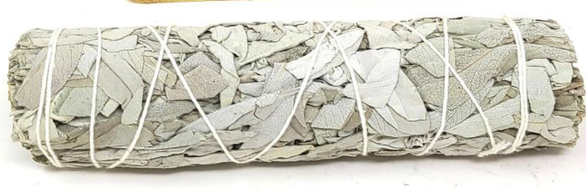 California White Sage Smudging Stick 4"