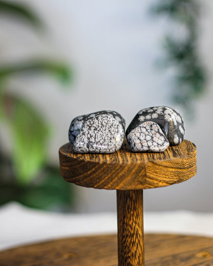 Snowflake Obsidian Tumbled Gemstone