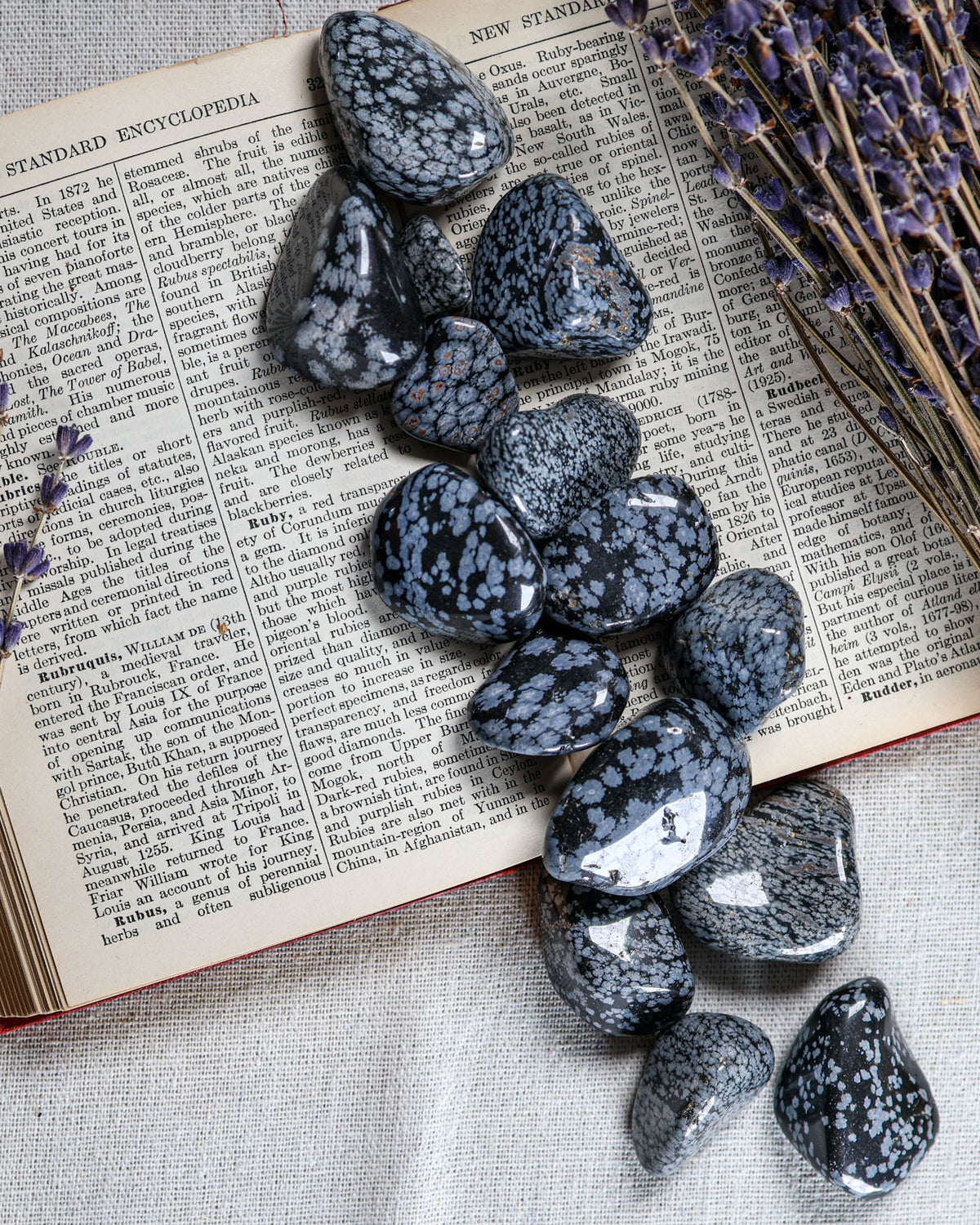 Snowflake Obsidian Tumbled Gemstone