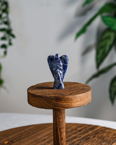 Sodalite Carved Angel