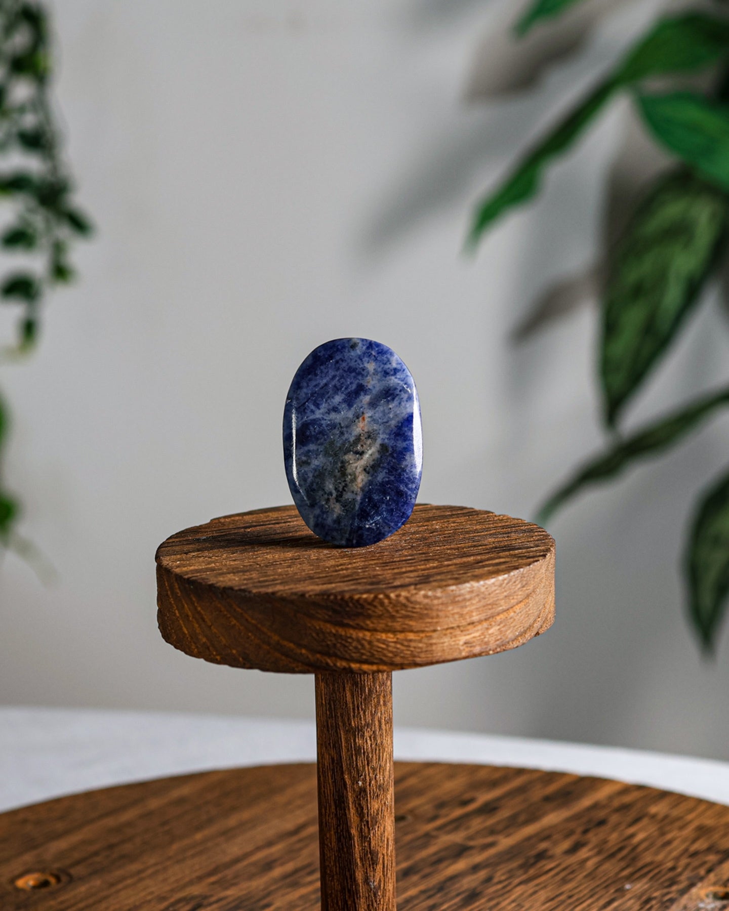 Sodalite Palm Stone