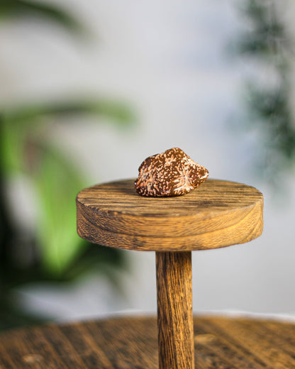 Star Jasper Tumbled Gemstone