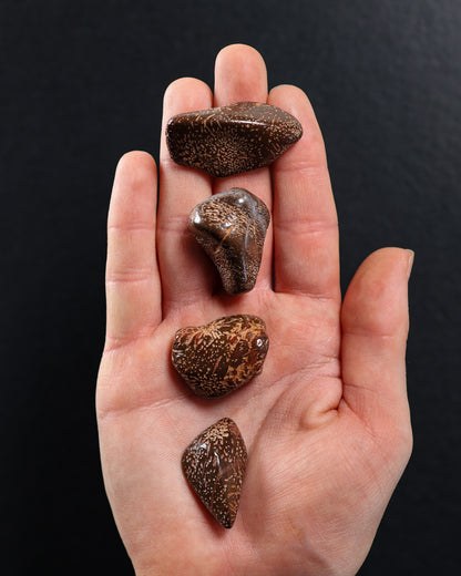 Star Jasper Tumbled Gemstone