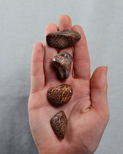 Star Jasper Tumbled Gemstone