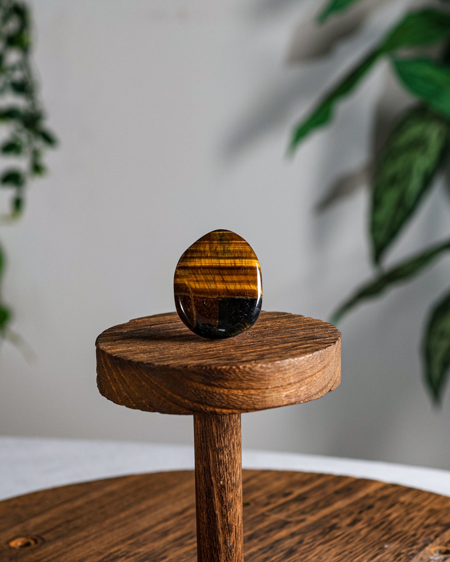 Tigers Eye Palm Stone