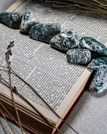 Tree Agate Tumbled Gemstone