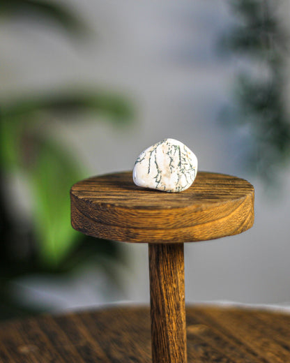 Tree Agate Tumbled Gemstone
