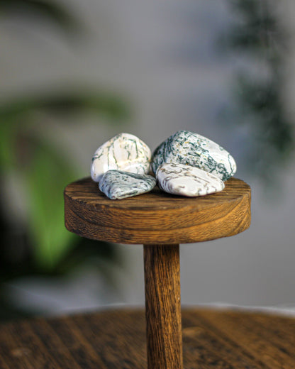 Tree Agate Tumbled Gemstone