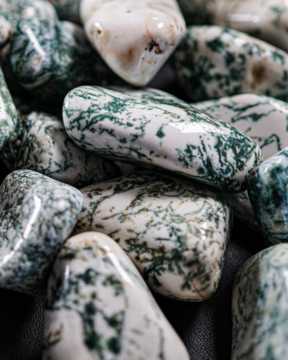 Tree Agate Tumbled Gemstone