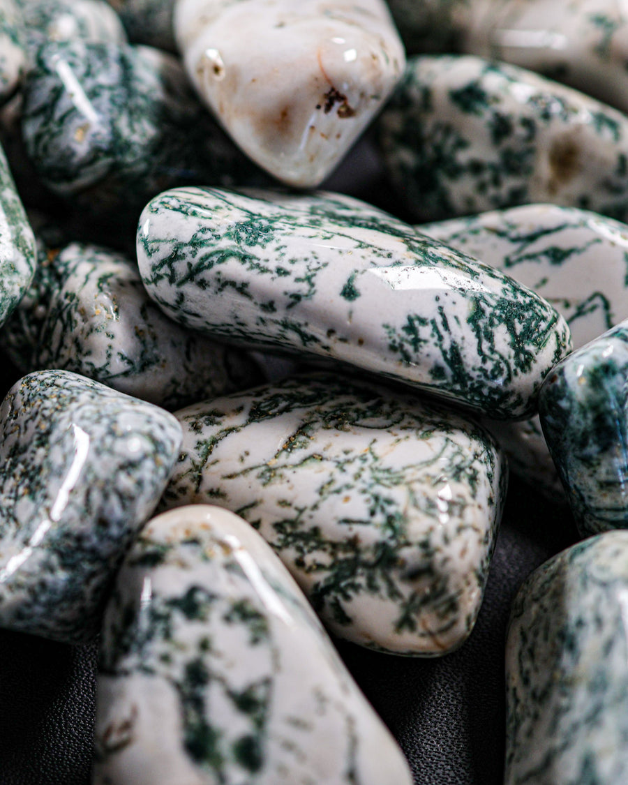 Tree Agate Tumbled Gemstone