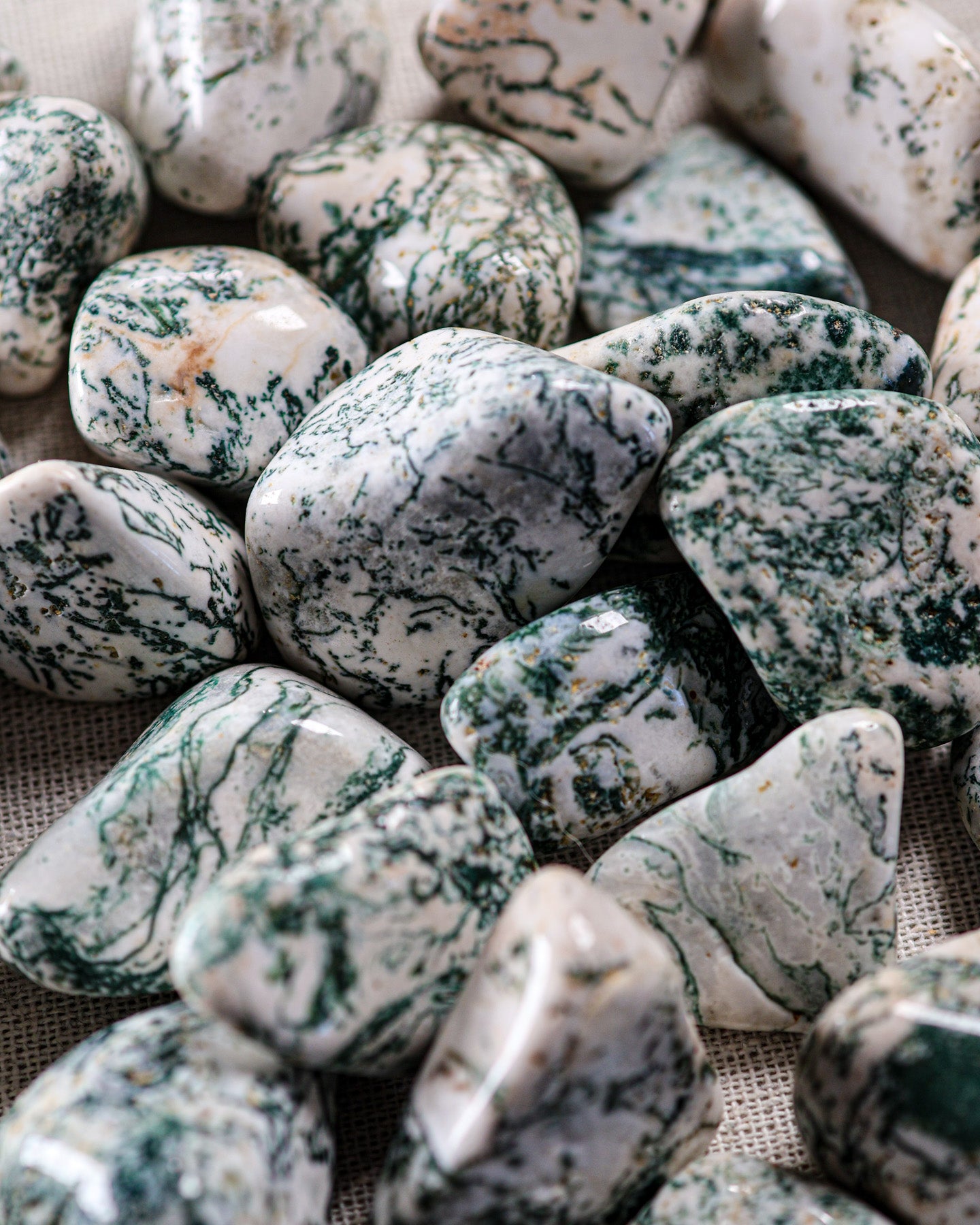 Tree Agate Tumbled Gemstone