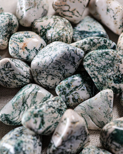 Tree Agate Tumbled Gemstone