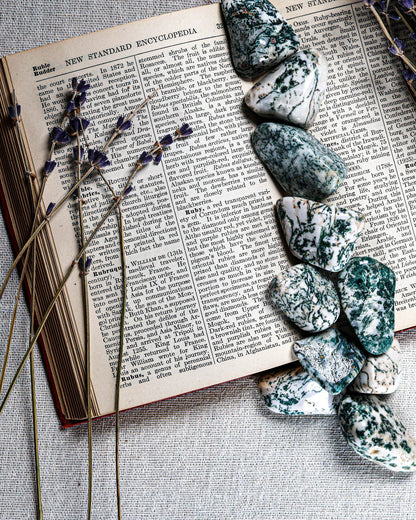 Tree Agate Tumbled Gemstone
