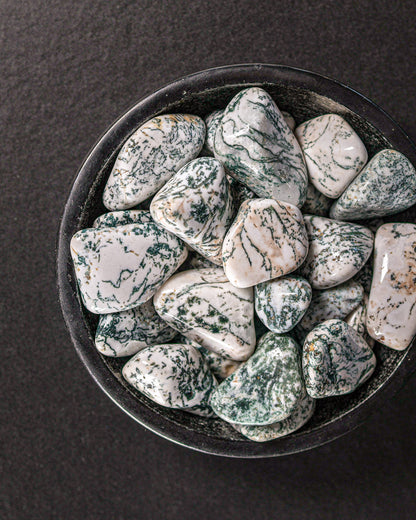 Tree Agate Tumbled Gemstone
