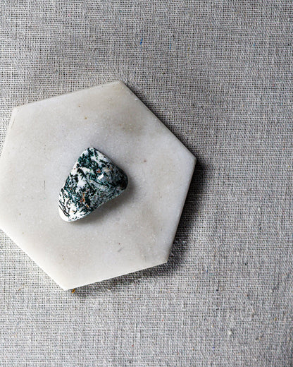 Tree Agate Tumbled Gemstone
