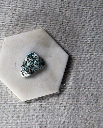 Tree Agate Tumbled Gemstone