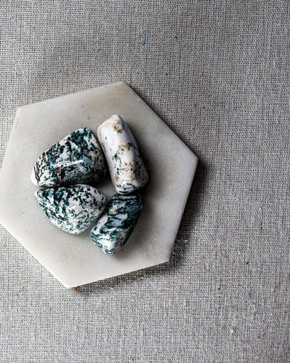 Tree Agate Tumbled Gemstone