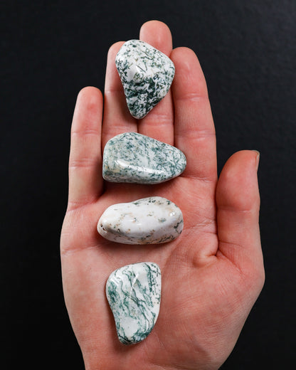 Tree Agate Tumbled Gemstone
