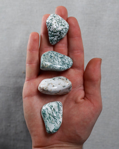 Tree Agate Tumbled Gemstone