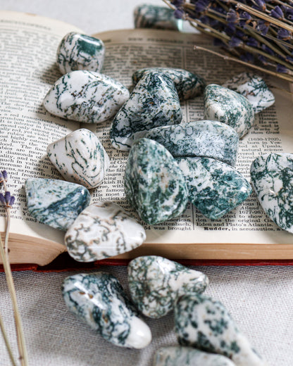 Tree Agate Tumbled Gemstone