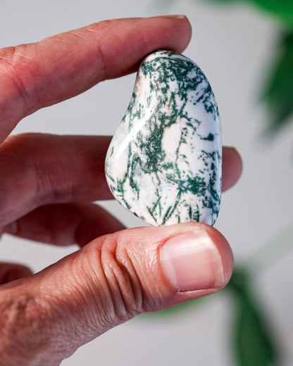 Tree Agate Tumbled Gemstone
